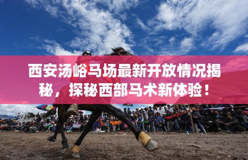 西安湯峪馬場最新開放情況揭秘，探秘西部馬術新體驗！