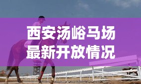 西安湯峪馬場最新開放情況揭秘,探秘西部馬術新體驗!
