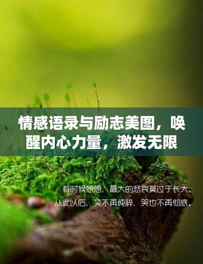 樸素無華 第2頁