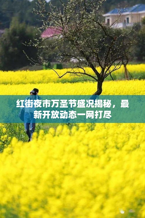 紅街夜市萬圣節盛況揭秘，最新開放動態一網打盡