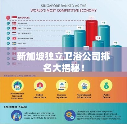 新加坡獨(dú)立衛(wèi)浴公司排名大揭秘!