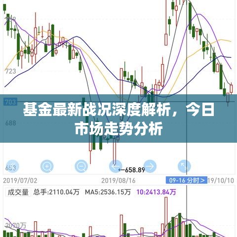 基金最新戰況深度解析,今日市場走勢分析