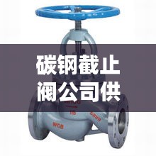 碳鋼截止閥公司供應排名榜單揭曉！