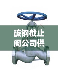 碳鋼截止閥公司供應(yīng)排名榜單揭曉!