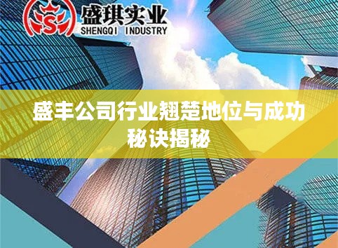 盛豐公司行業翹楚地位與成功秘訣揭秘