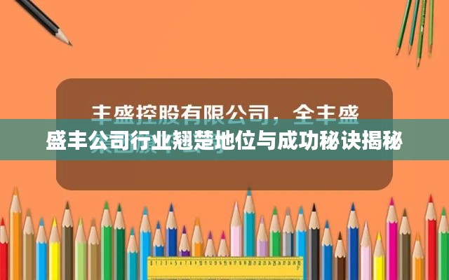 盛豐公司行業(yè)翹楚地位與成功秘訣揭秘