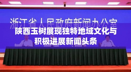 陜西玉樹展現獨特地域文化與積極進展新聞頭條