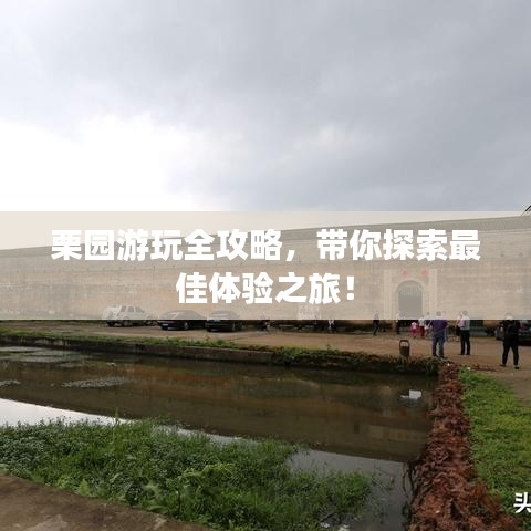 塵土飛揚 第2頁