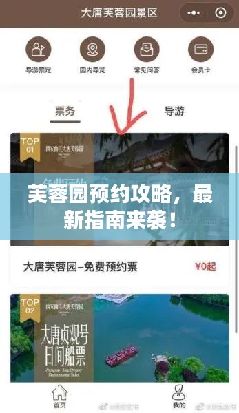 芙蓉園預約攻略，最新指南來襲！