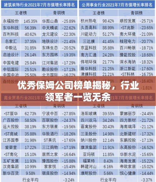 優秀保姆公司榜單揭秘，行業領軍者一覽無余