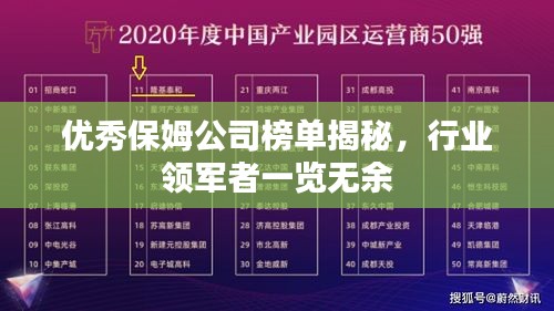 優秀保姆公司榜單揭秘,行業領軍者一覽無余