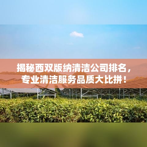 揭秘西雙版納清潔公司排名，專業(yè)清潔服務(wù)品質(zhì)大比拼！