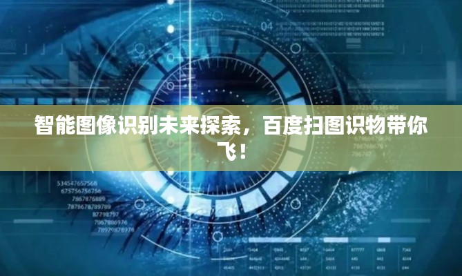 智能圖像識(shí)別未來(lái)探索,百度掃圖識(shí)物帶你飛!