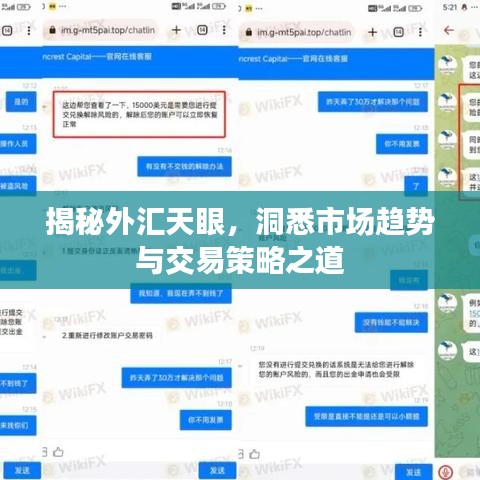 揭秘外匯天眼,洞悉市場趨勢與交易策略之道