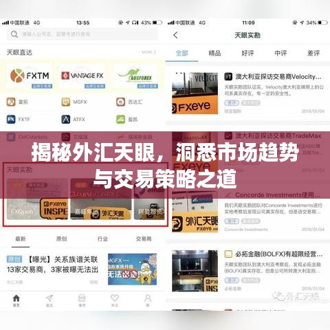 揭秘外匯天眼,洞悉市場(chǎng)趨勢(shì)與交易策略之道