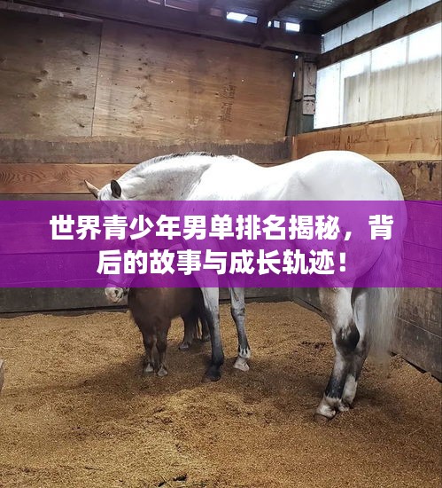 世界青少年男單排名揭秘,背后的故事與成長(zhǎng)軌跡!
