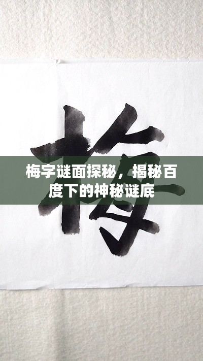 梅字謎面探秘,揭秘百度下的神秘謎底