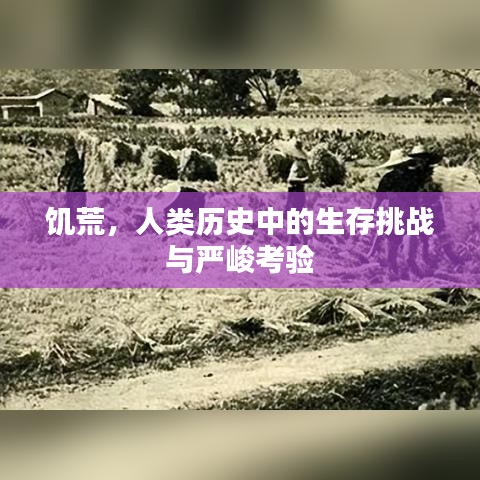 饑荒,人類歷史中的生存挑戰(zhàn)與嚴(yán)峻考驗(yàn)