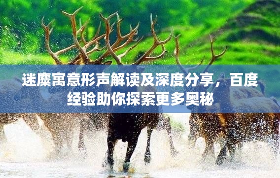 迷麋寓意形聲解讀及深度分享,百度經(jīng)驗(yàn)助你探索更多奧秘