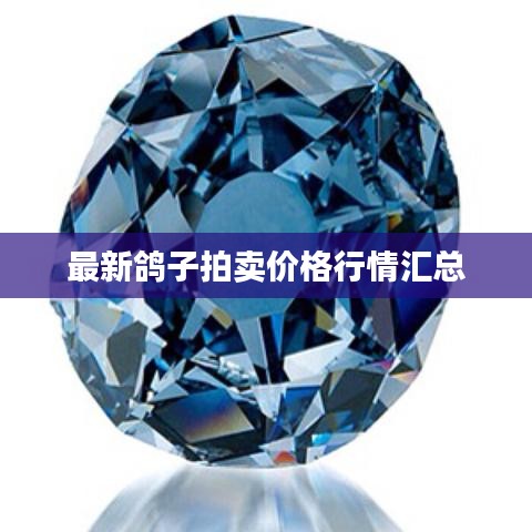 最新鴿子拍賣價格行情匯總