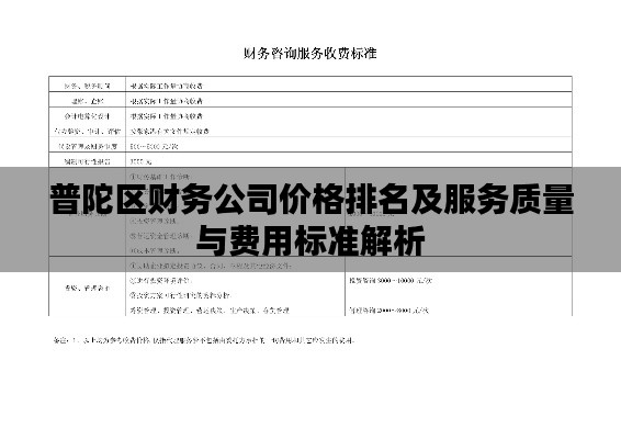 普陀區(qū)財(cái)務(wù)公司價(jià)格排名及服務(wù)質(zhì)量與費(fèi)用標(biāo)準(zhǔn)解析