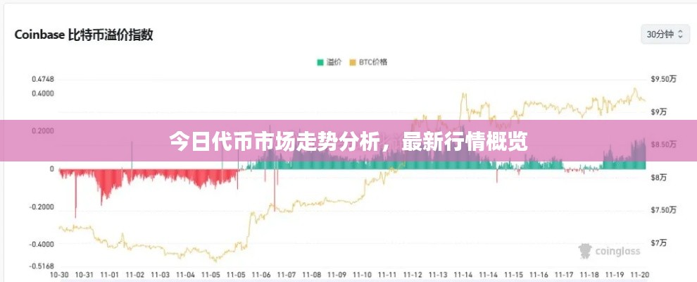 今日代幣市場走勢分析,最新行情概覽