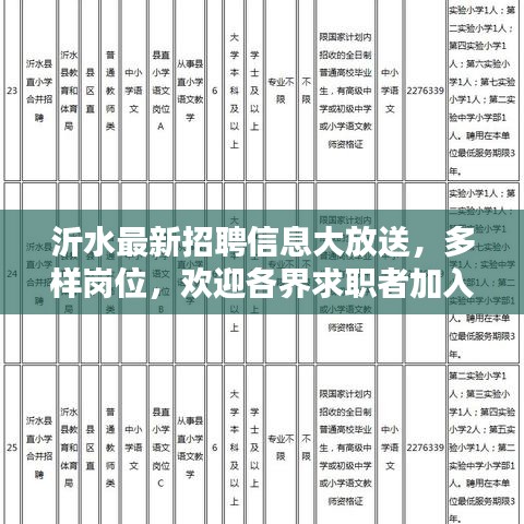 沂水最新招聘信息大放送,多樣崗位,歡迎各界求職者加入,年齡至55歲