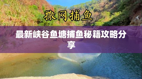 最新峽谷魚塘捕魚秘籍攻略分享