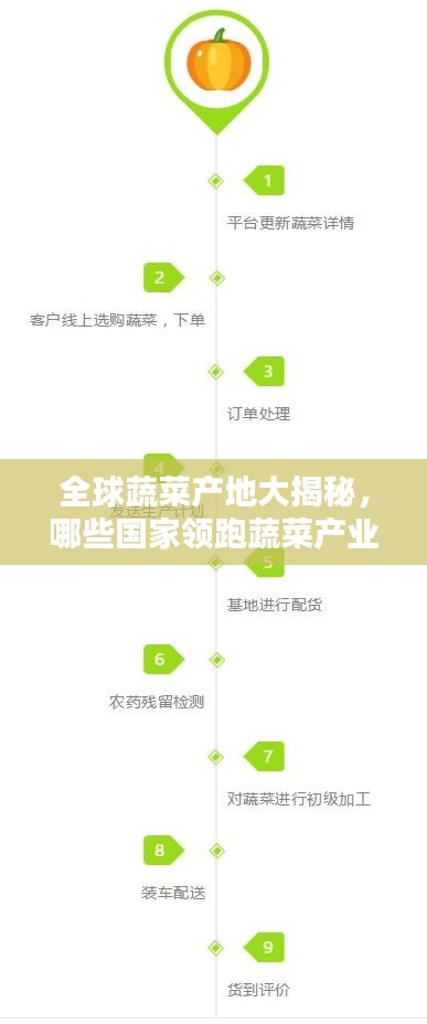 全球蔬菜產地大揭秘,哪些國家領跑蔬菜產業榜單?