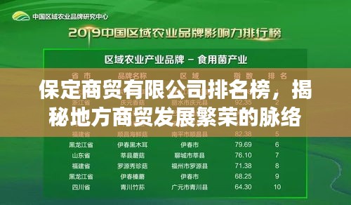 保定商貿有限公司排名榜,揭秘地方商貿發展繁榮的脈絡