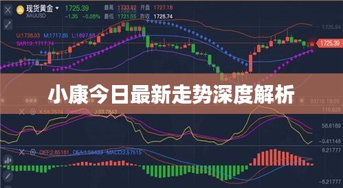 小康今日最新走勢深度解析