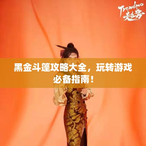 黑金斗篷攻略大全，玩轉游戲必備指南！