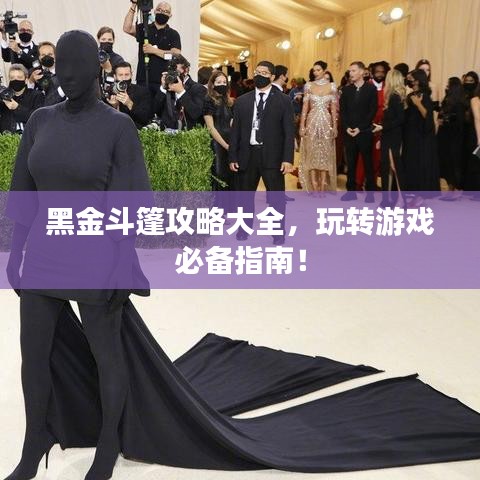 黑金斗篷攻略大全,玩轉游戲必備指南!