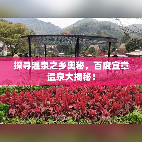 探尋溫泉之鄉(xiāng)奧秘，百度宜章溫泉大揭秘！
