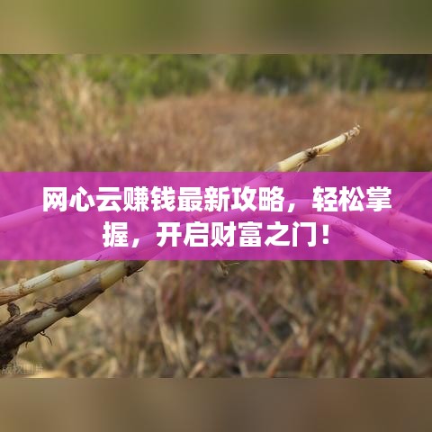 網心云賺錢最新攻略,輕松掌握,開啟財富之門!