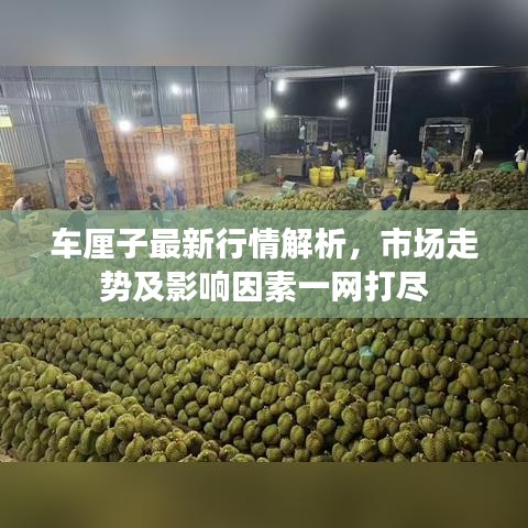 車?yán)遄幼钚滦星榻馕觯袌?chǎng)走勢(shì)及影響因素一網(wǎng)打盡