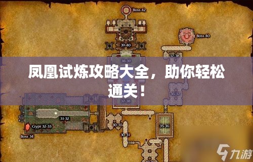 鳳凰試煉攻略大全,助你輕松通關(guān)!