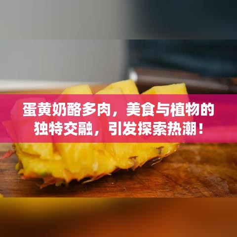 蛋黃奶酪多肉,美食與植物的獨特交融,引發(fā)探索熱潮!