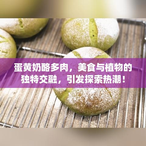 蛋黃奶酪多肉,美食與植物的獨特交融,引發探索熱潮!