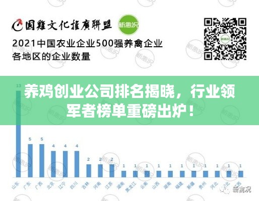 養雞創業公司排名揭曉,行業領軍者榜單重磅出爐!