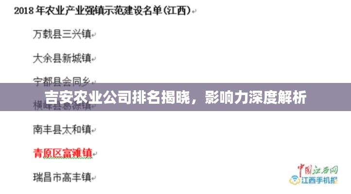 吉安農(nóng)業(yè)公司排名揭曉,影響力深度解析