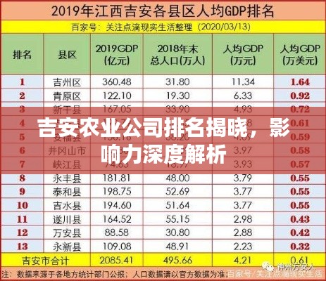 吉安農(nóng)業(yè)公司排名揭曉,影響力深度解析