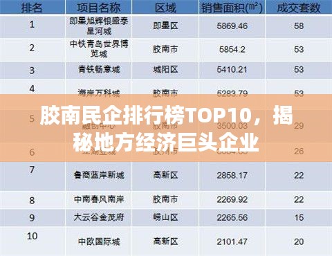 膠南民企排行榜TOP10,揭秘地方經濟巨頭企業