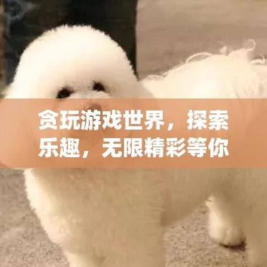 貪玩游戲世界,探索樂趣,無限精彩等你發(fā)現(xiàn)!
