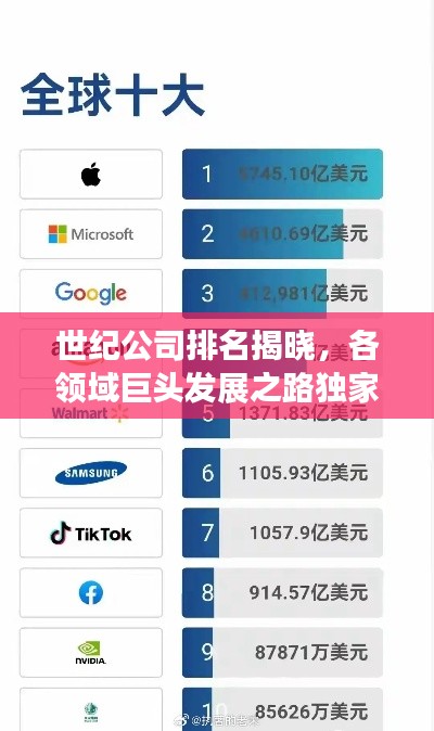 世紀公司排名揭曉,各領域巨頭發展之路獨家揭秘