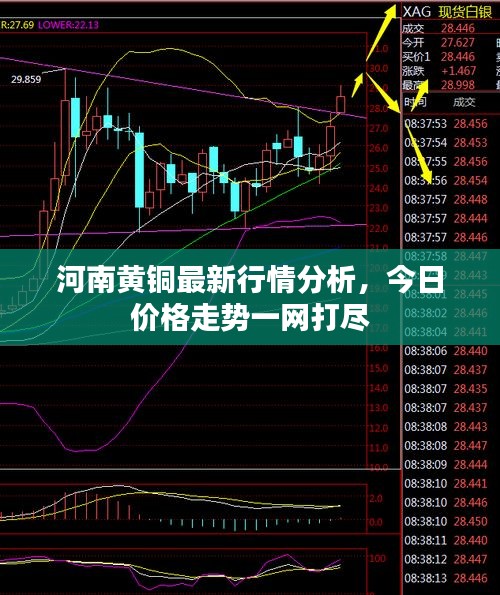 河南黃銅最新行情分析,今日價格走勢一網(wǎng)打盡