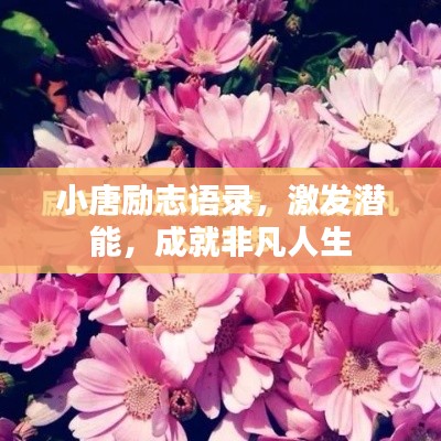 小唐勵志語錄,激發潛能,成就非凡人生