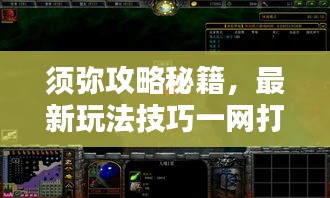 須彌攻略秘籍,最新玩法技巧一網(wǎng)打盡!