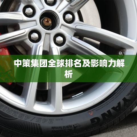 中策集團(tuán)全球排名及影響力解析