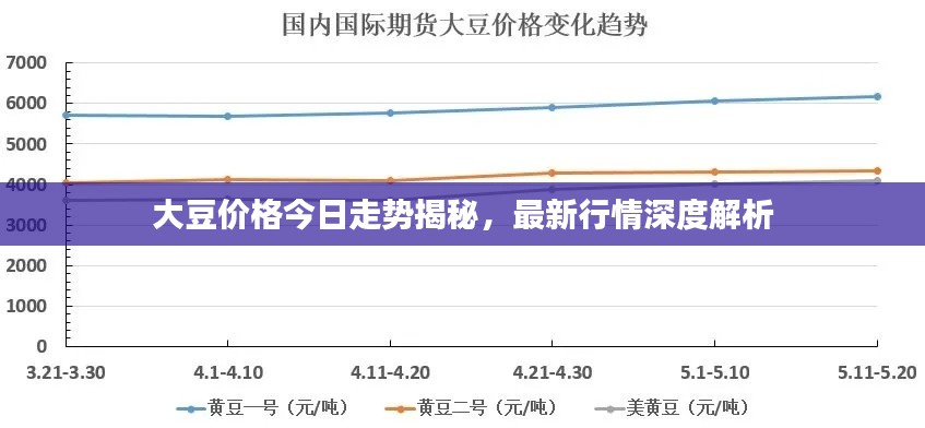 大豆價格今日走勢揭秘，最新行情深度解析